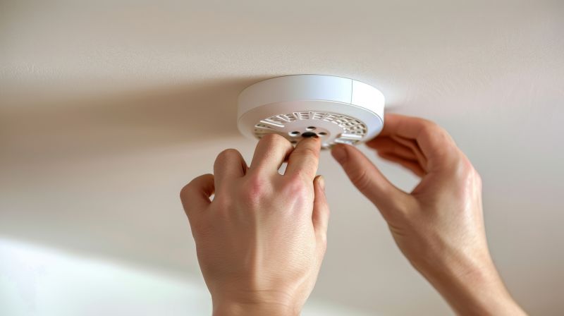 Eco-Friendly Options